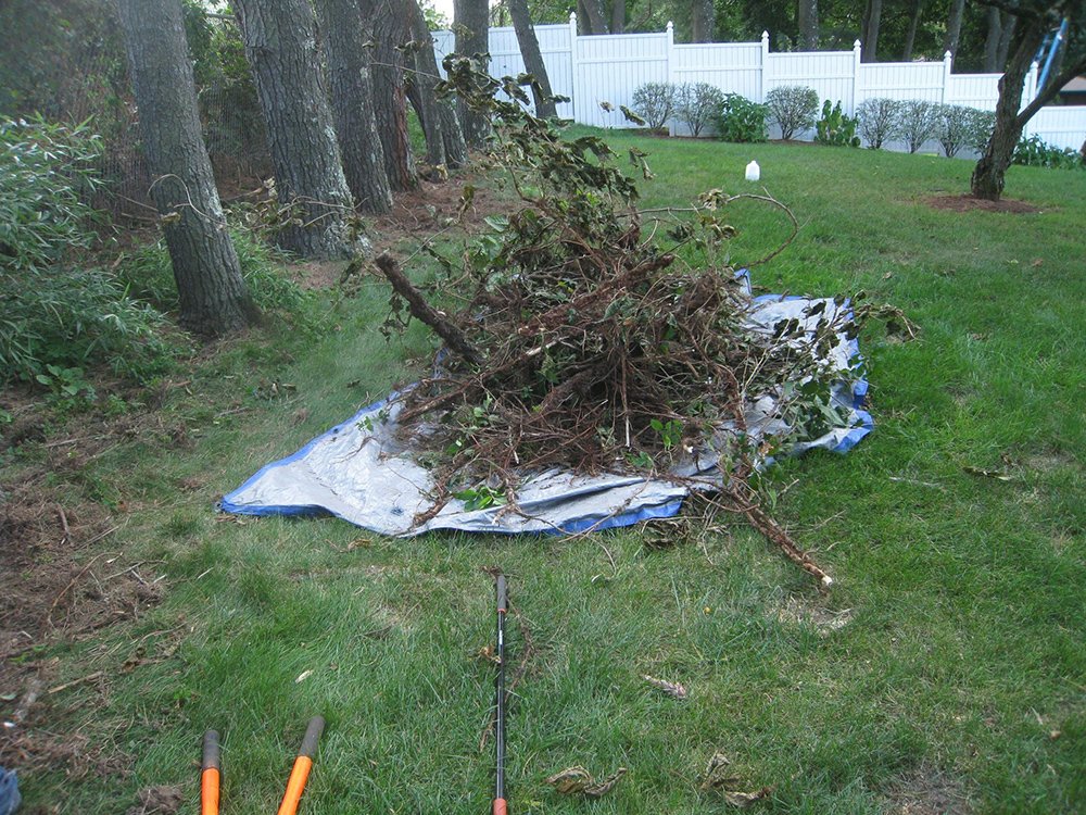Debris is always collected on tarps.