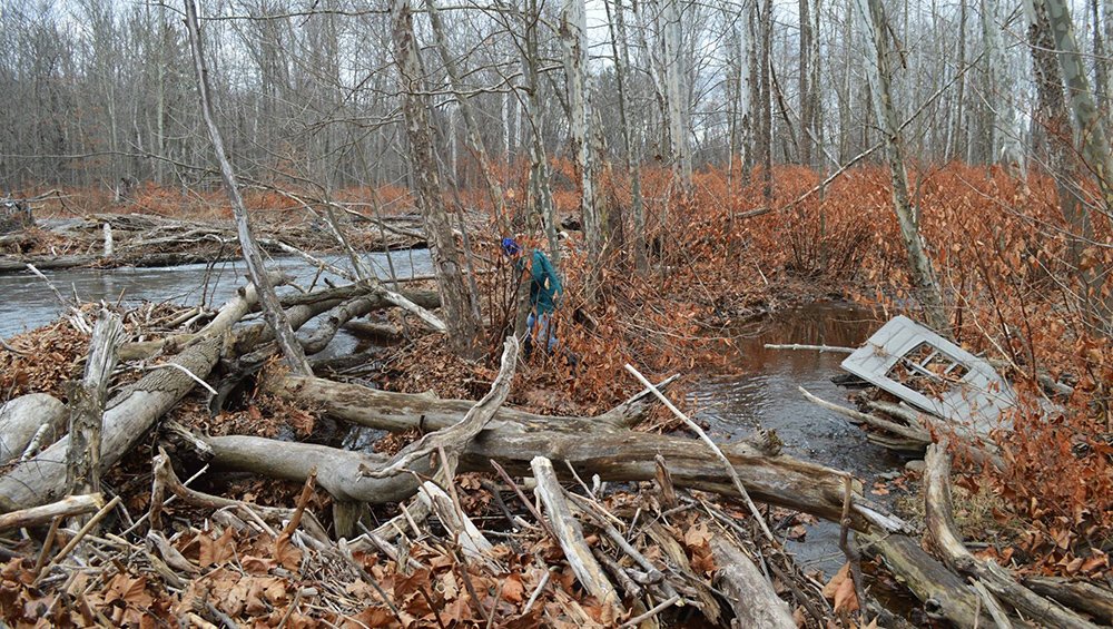 Signs of wildlife -- not so much anymore.