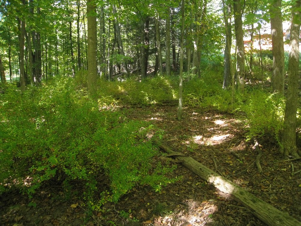 5.1