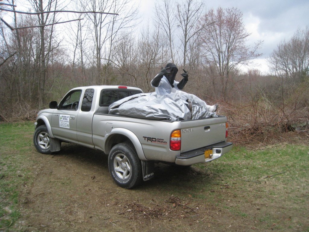 Ready for another run to the dump!