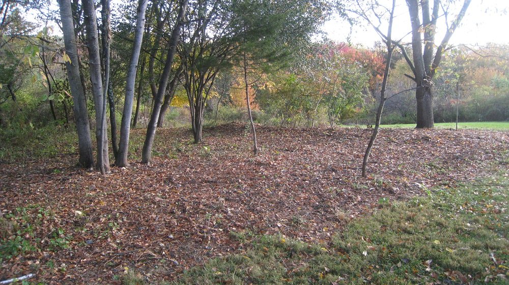 website 2